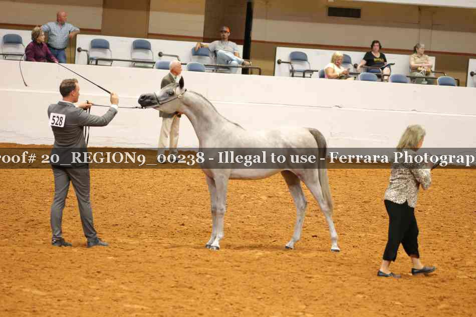 Proof 20_REGION9_00238