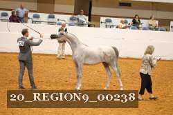 20_REGION9_00238 proof
