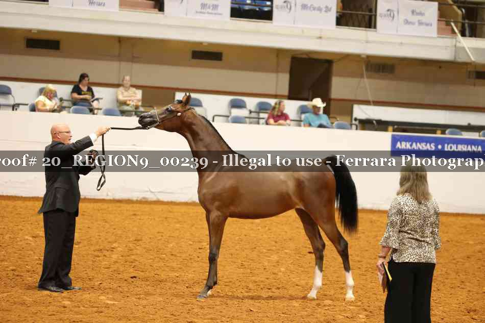 Proof 20_REGION9_00239