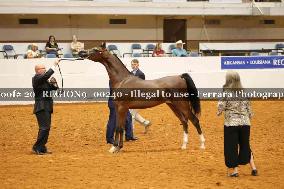Proof 20_REGION9_00240