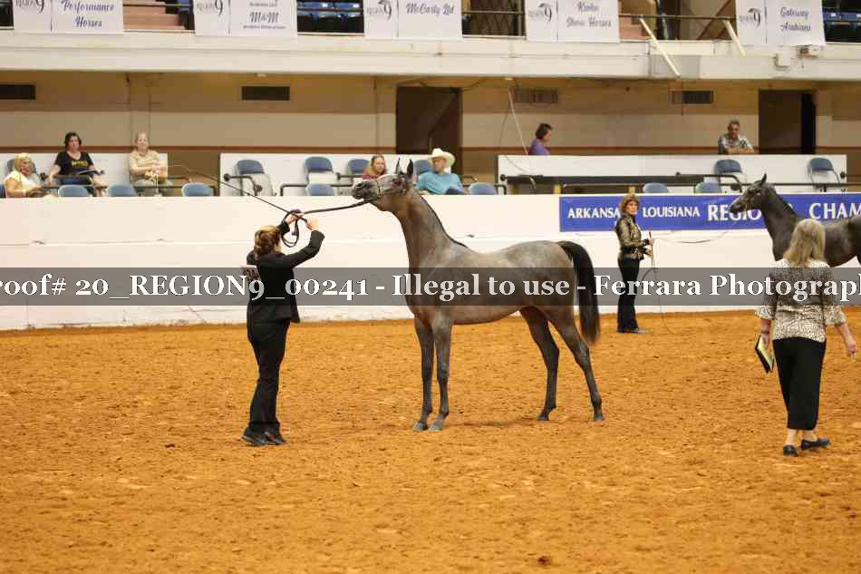 Proof 20_REGION9_00241