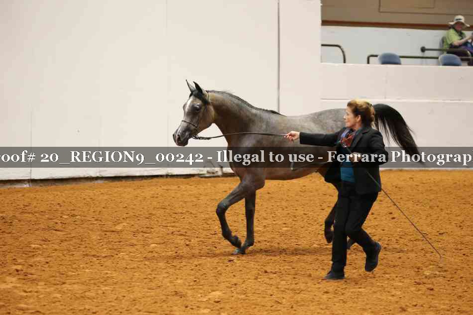 Proof 20_REGION9_00242