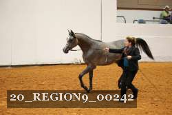 20_REGION9_00242 proof