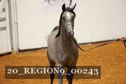 20_REGION9_00243 proof