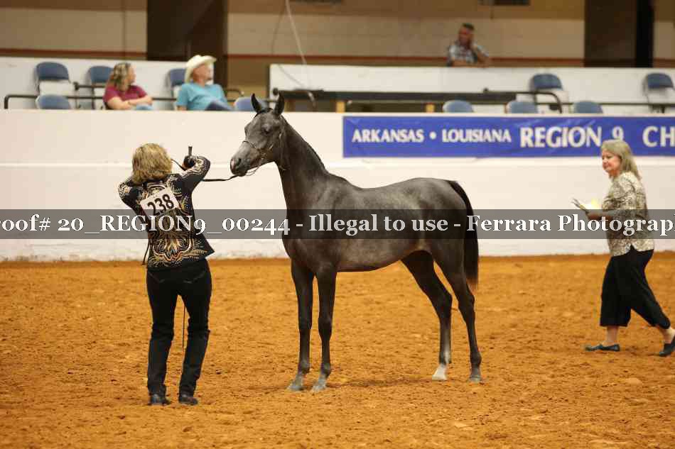 Proof 20_REGION9_00244