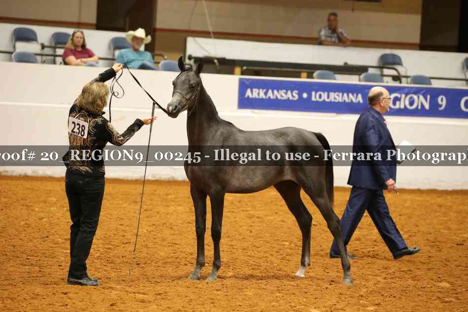 Proof 20_REGION9_00245