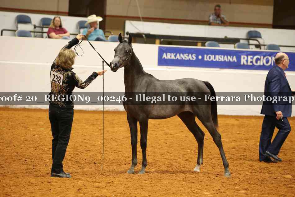 Proof 20_REGION9_00246