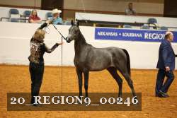 20_REGION9_00246 proof