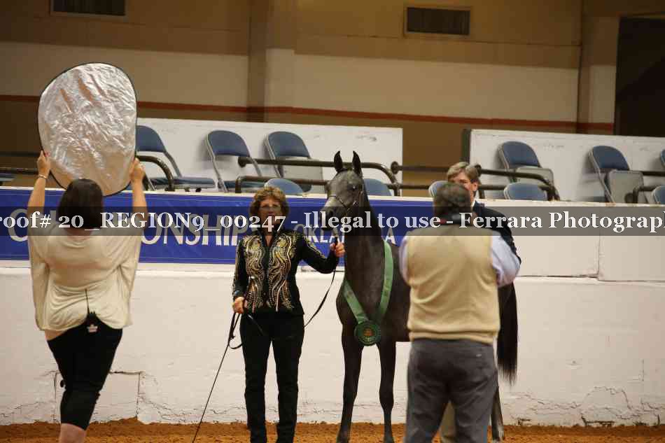 Proof 20_REGION9_00247