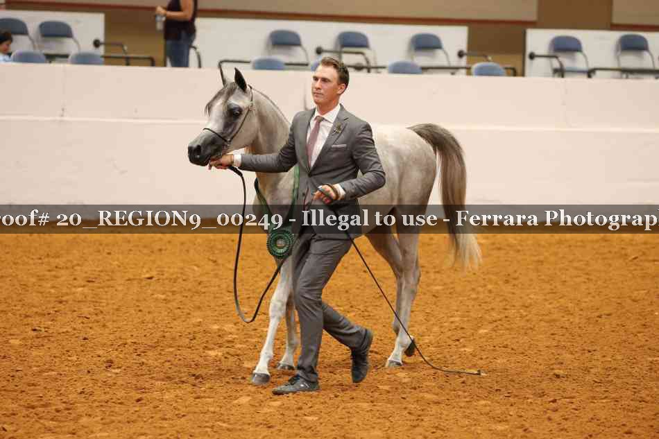 Proof 20_REGION9_00249