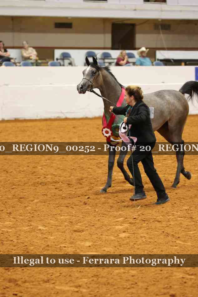 Proof 20_REGION9_00252