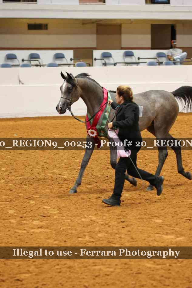 Proof 20_REGION9_00253