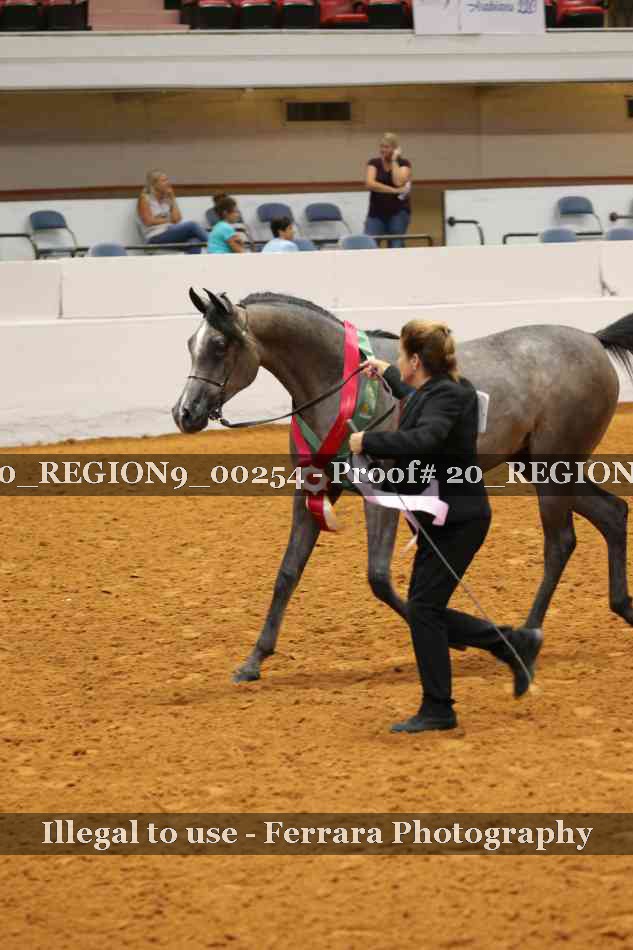 Proof 20_REGION9_00254