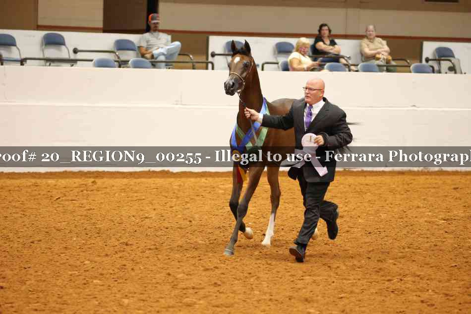 Proof 20_REGION9_00255