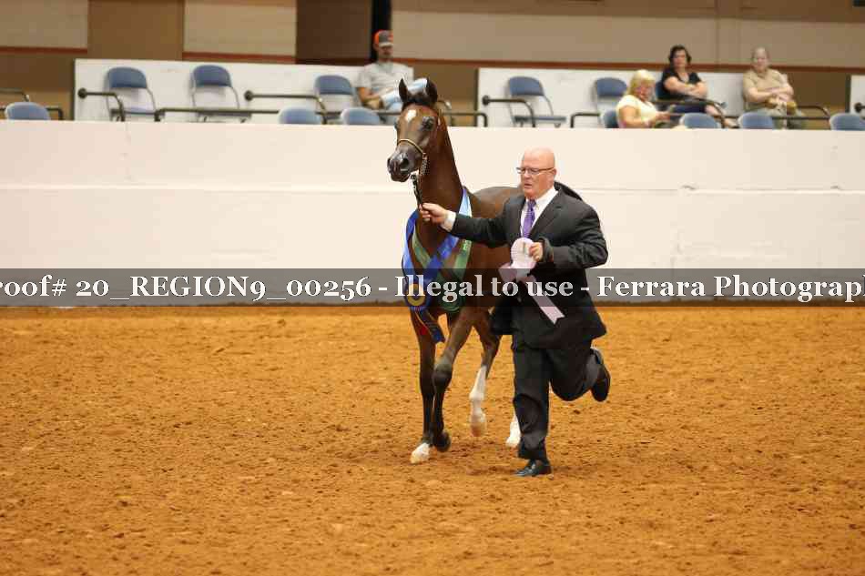 Proof 20_REGION9_00256