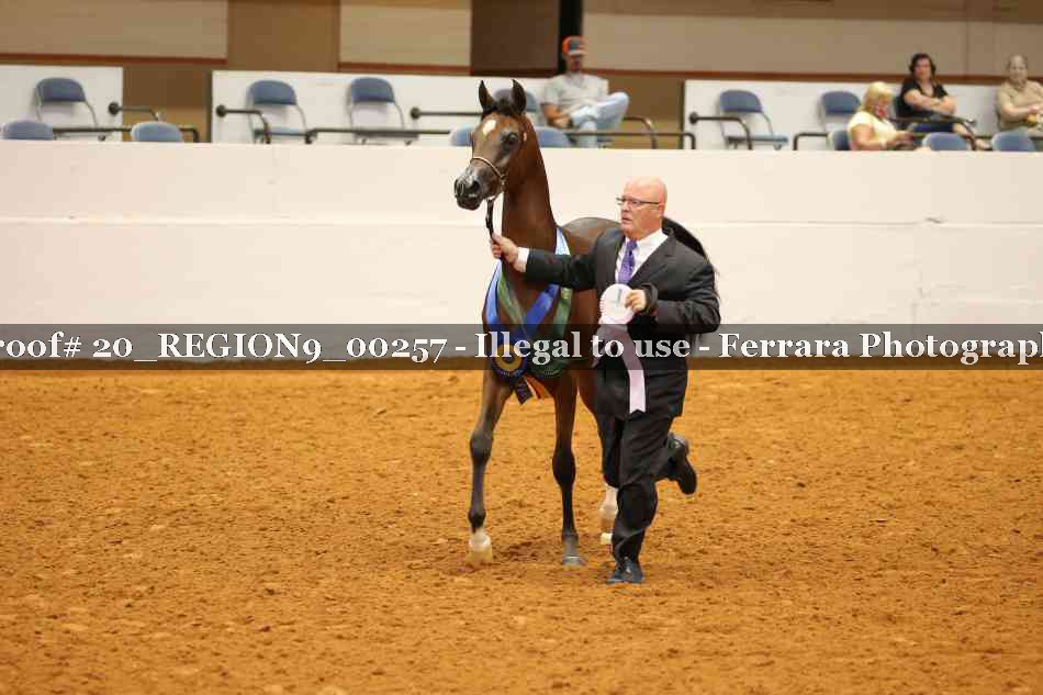 Proof 20_REGION9_00257