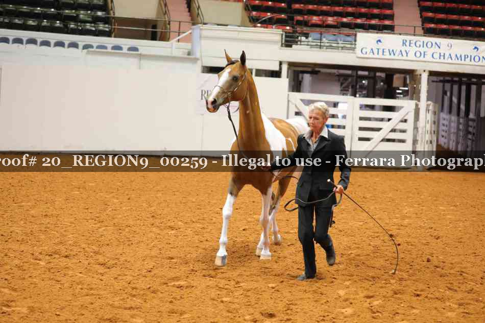 Proof 20_REGION9_00259