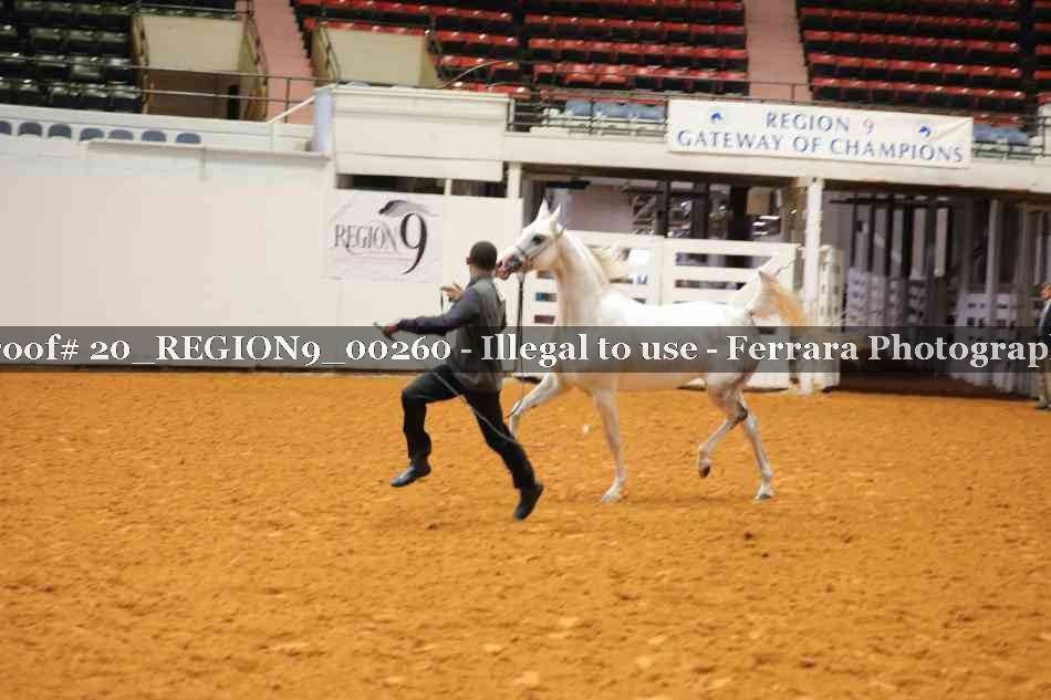 Proof 20_REGION9_00260