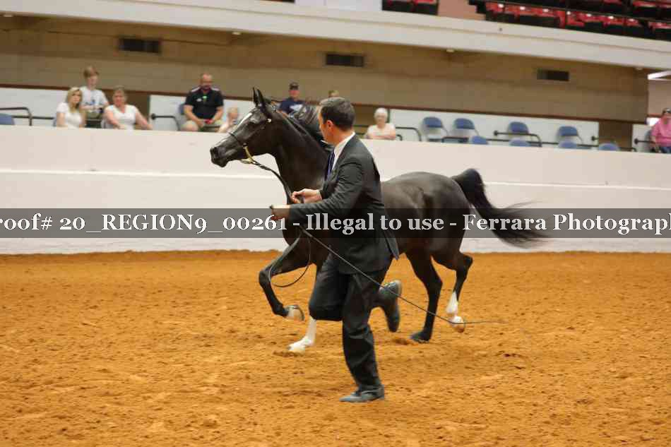 Proof 20_REGION9_00261