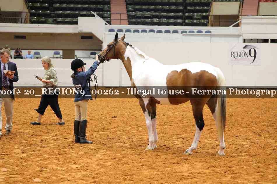 Proof 20_REGION9_00262