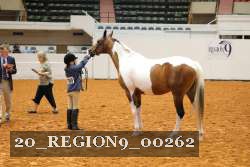 20_REGION9_00262 proof