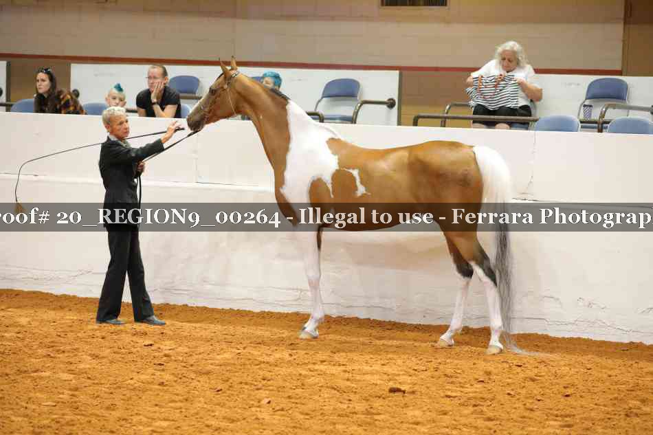 Proof 20_REGION9_00264