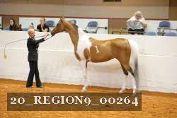20_REGION9_00264 proof