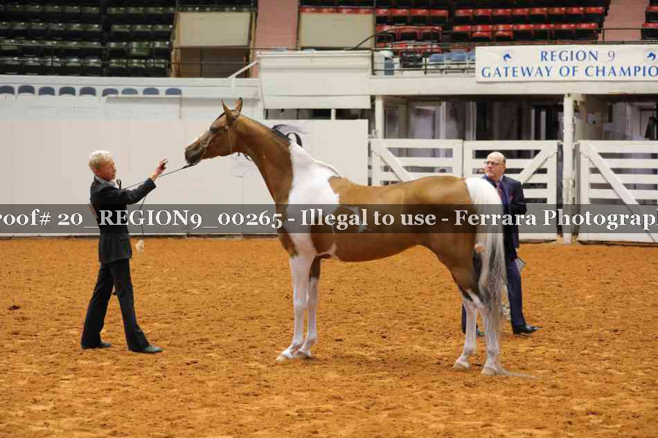 Proof 20_REGION9_00265