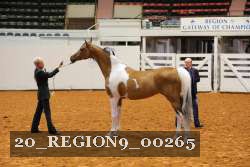 20_REGION9_00265 proof