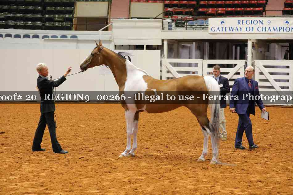 Proof 20_REGION9_00266