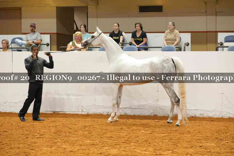 Proof 20_REGION9_00267