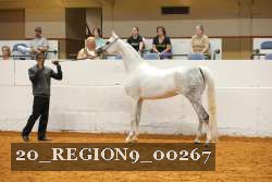 20_REGION9_00267 proof