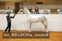 20_REGION9_00268 proof