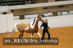 20_REGION9_00269 proof