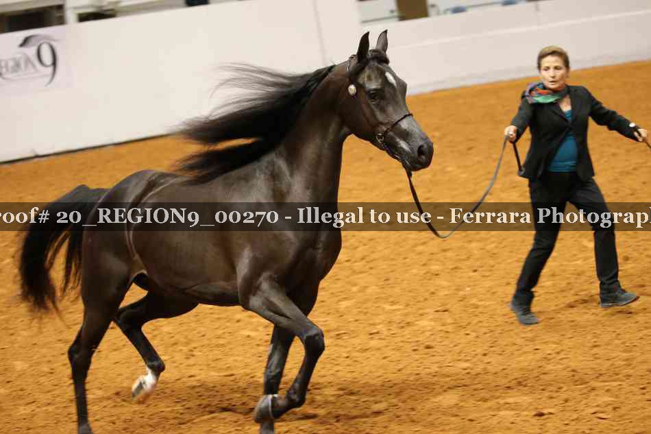 Proof 20_REGION9_00270