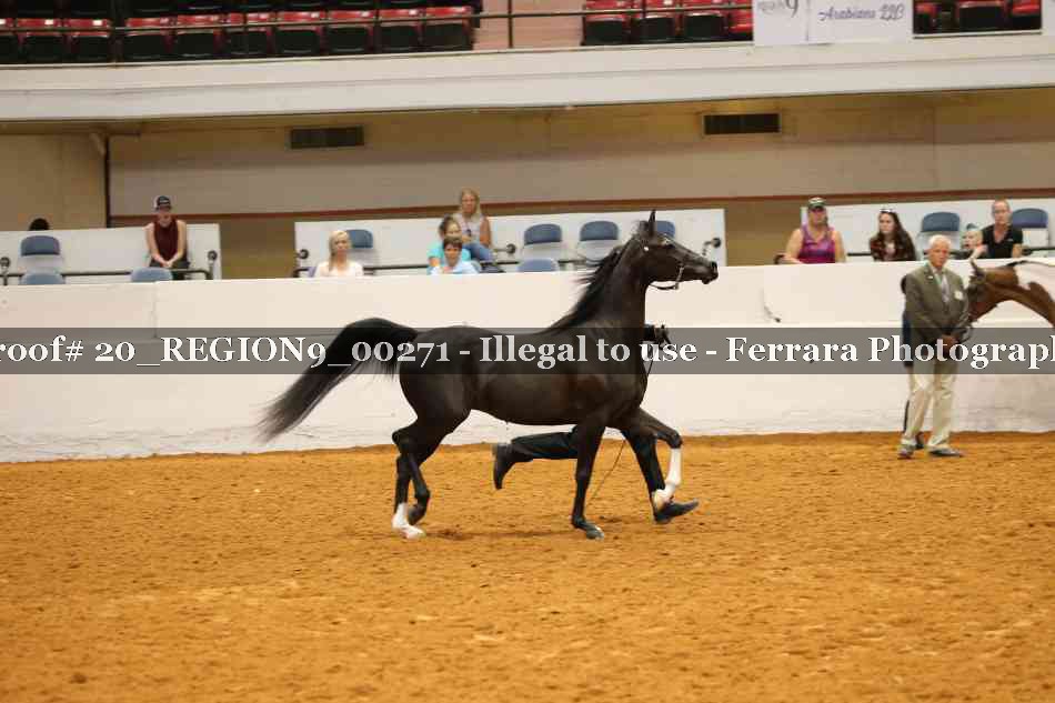 Proof 20_REGION9_00271
