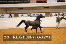 20_REGION9_00271 proof
