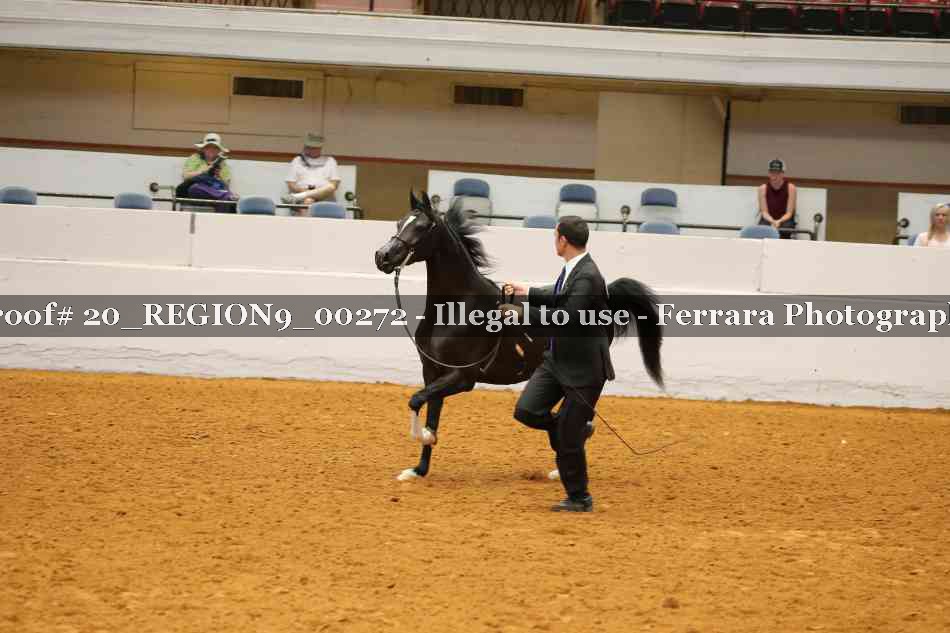Proof 20_REGION9_00272