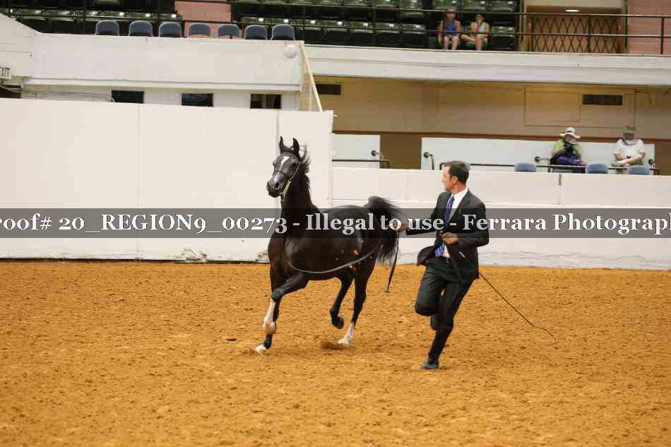 Proof 20_REGION9_00273