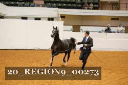 20_REGION9_00273 proof