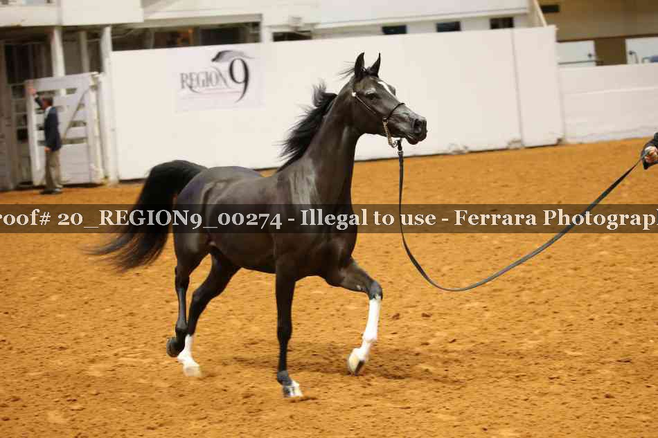 Proof 20_REGION9_00274