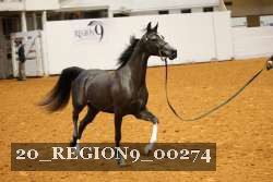 20_REGION9_00274 proof