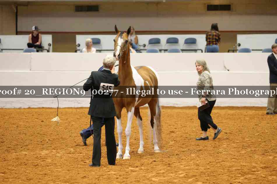 Proof 20_REGION9_00277