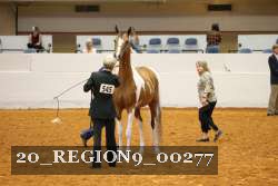 20_REGION9_00277 proof