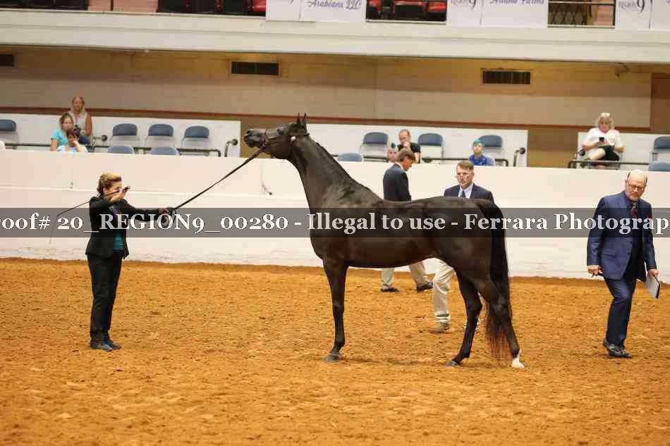 Proof 20_REGION9_00280