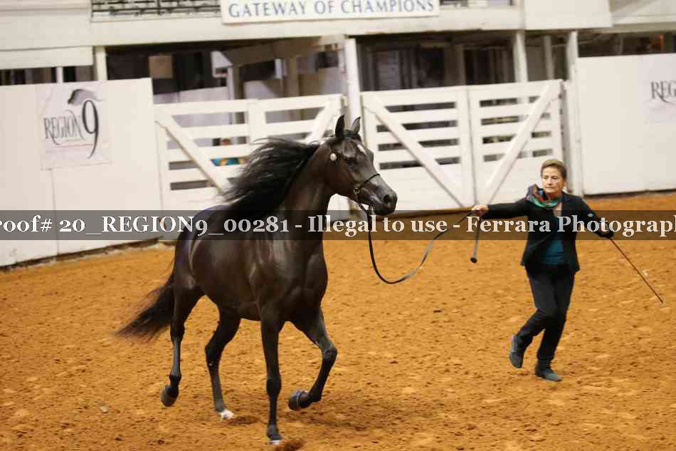 Proof 20_REGION9_00281