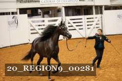20_REGION9_00281 proof