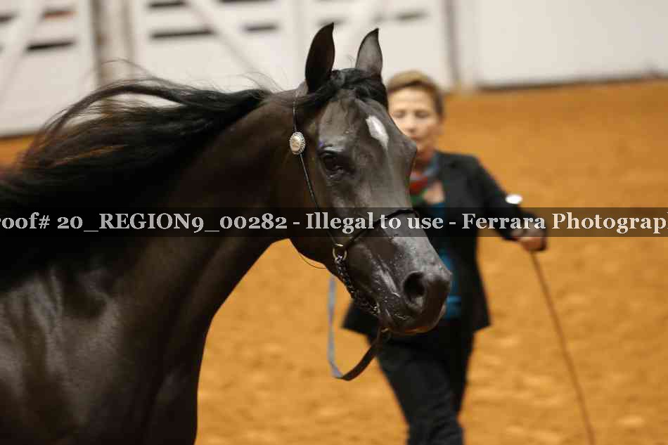 Proof 20_REGION9_00282