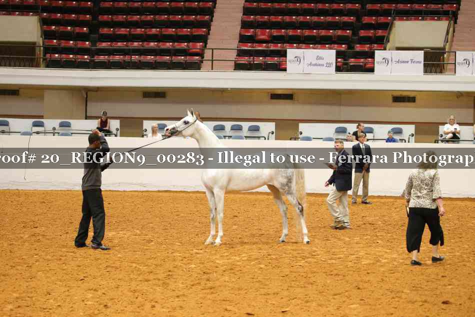 Proof 20_REGION9_00283