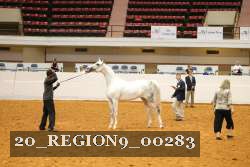 20_REGION9_00283 proof